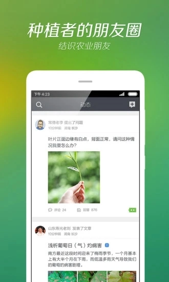 我会种原版图4