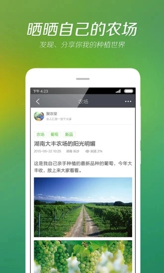 我会种原版图5