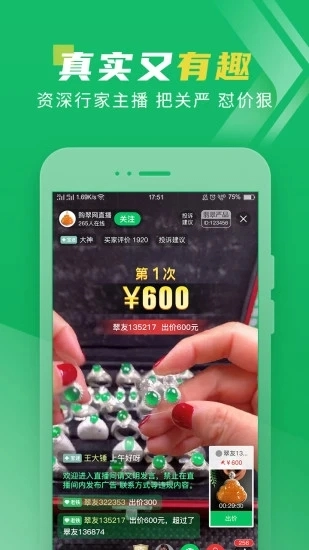 翡翠严品手机正版图5