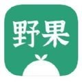 野果阅读安卓直装版
