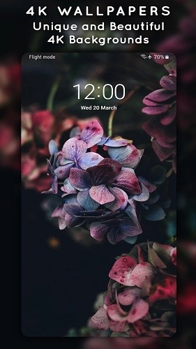 4K Wallpapers动态壁纸最新免费版图2