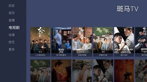 斑马tv电视版图1