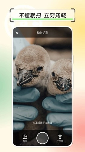 拍物轻松识免费版图2