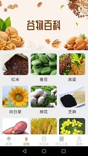 绿色菜园子安卓直装版图1