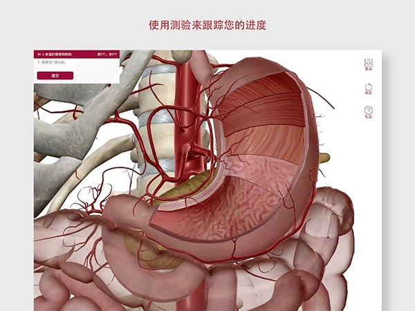 解剖和生理学安卓官方版图4