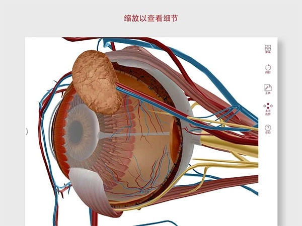 解剖和生理学安卓官方版图3