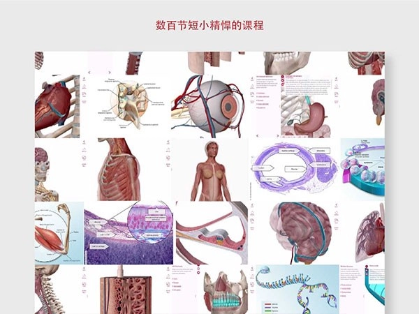解剖和生理学安卓官方版图1