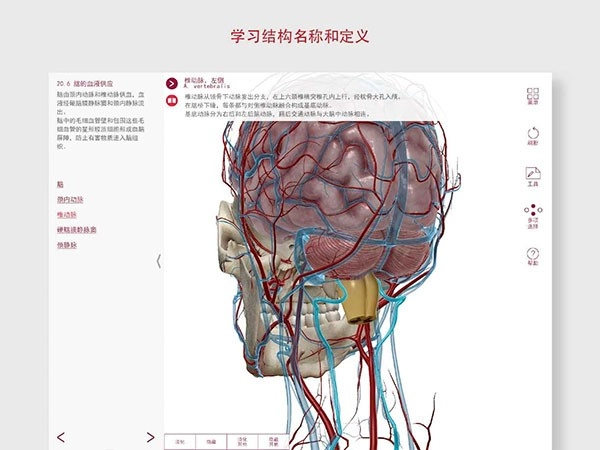 解剖和生理学安卓官方版图2