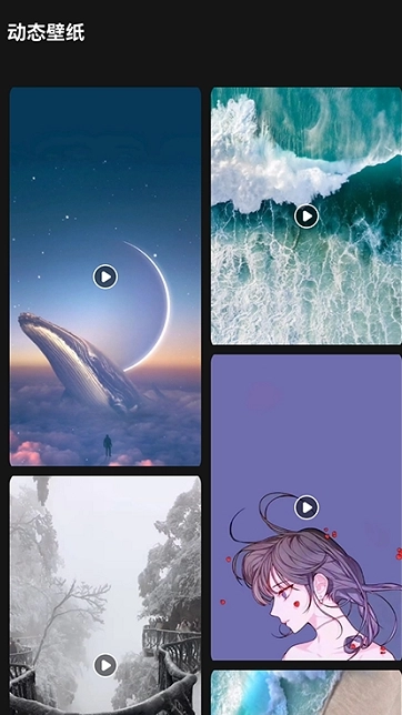 lr壁纸大全最新版图1