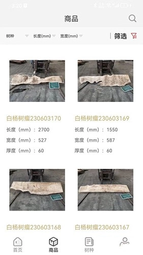 木头猎人最新免费版图1