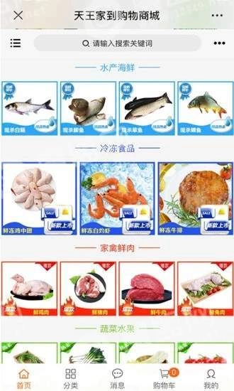 天王家到无广告版