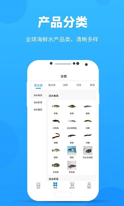 采鱼港免费原版