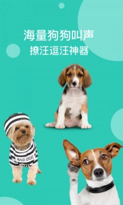 狗语翻译通用版图5
