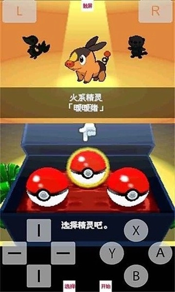 口袋妖怪白2汉化版(3)