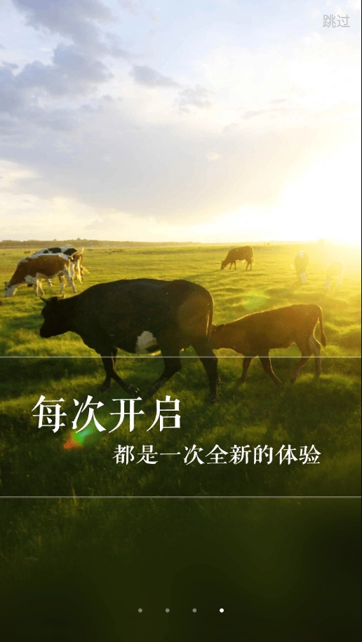 新牛智能官方版