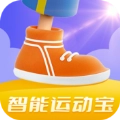 智能运动宝安卓直装版