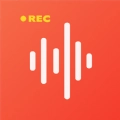 龙博录音转文字pro  v1.0