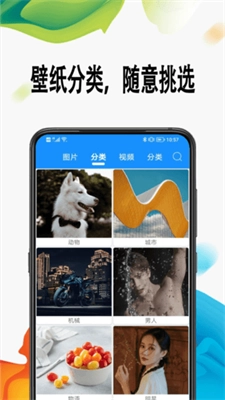 超高清壁纸正版