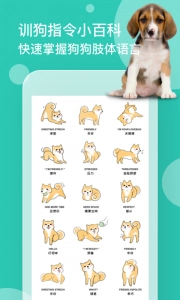 狗语翻译通用版图4