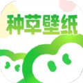 种草壁纸手机最新版