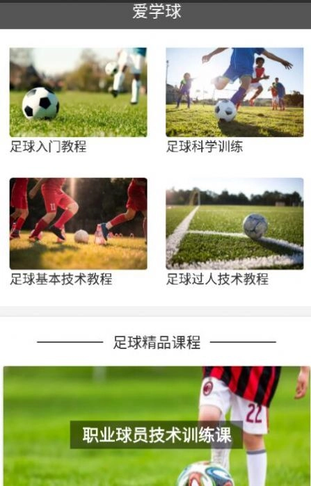 爱学球手机免费版