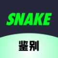SNAKE鉴别直装版