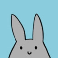 study bunny通用版