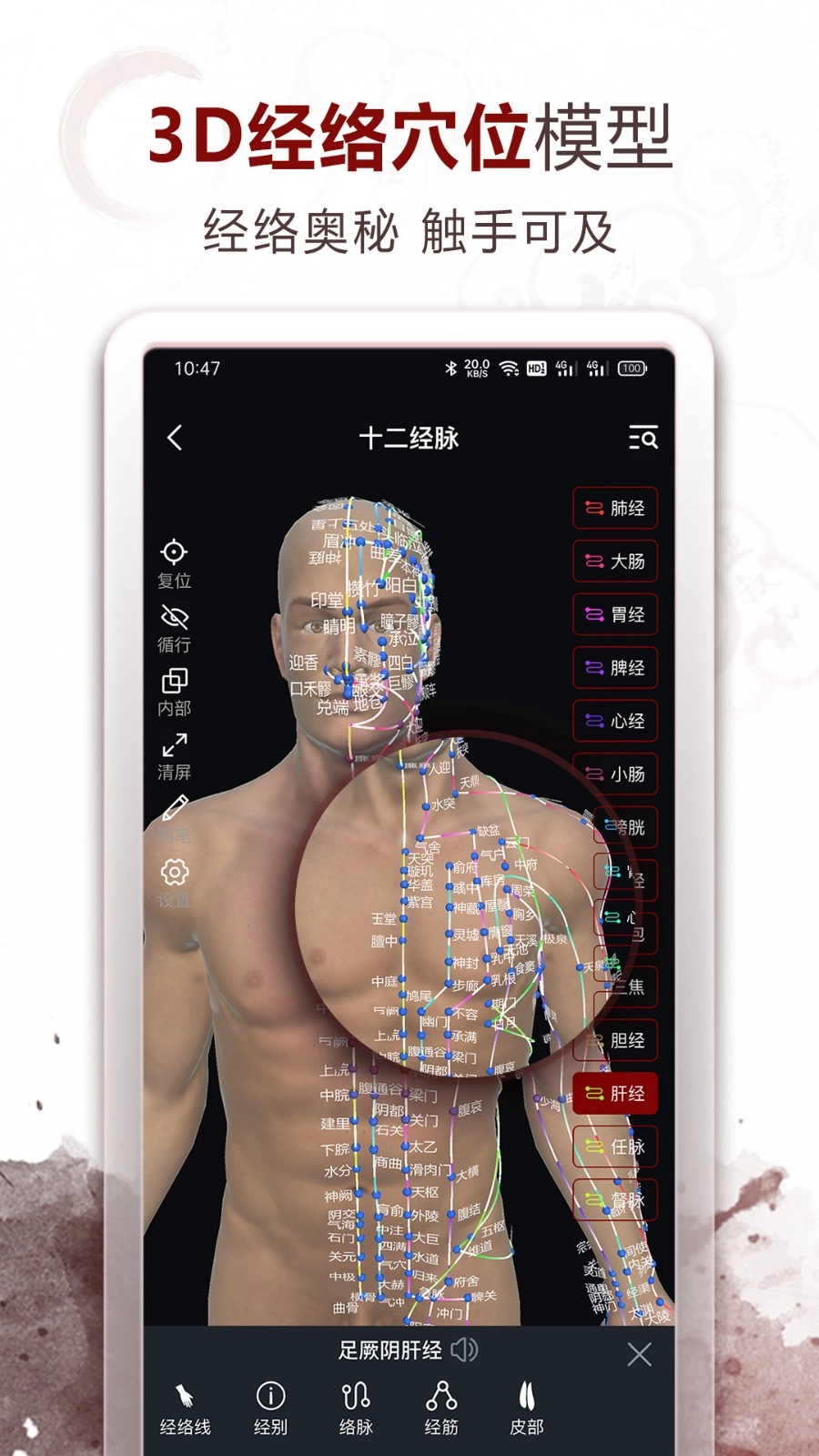 中医经络穴位手机免费版图1