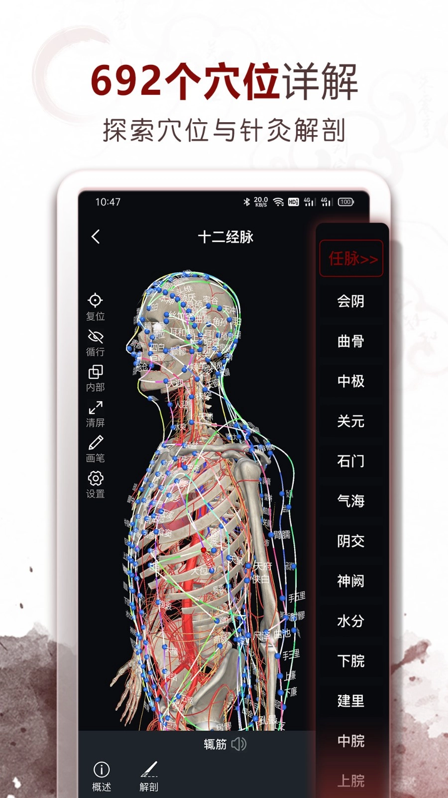 中医经络穴位手机免费版图5