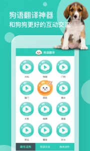狗语翻译通用版图2