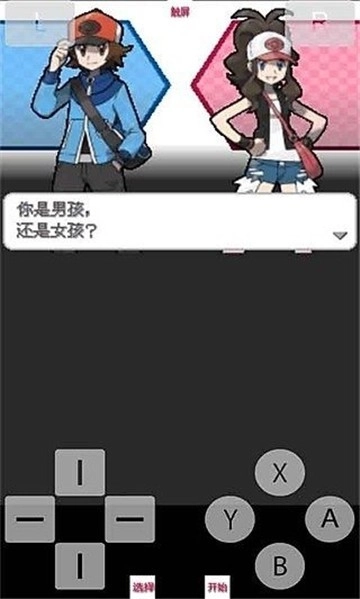 口袋妖怪白2汉化版(4)