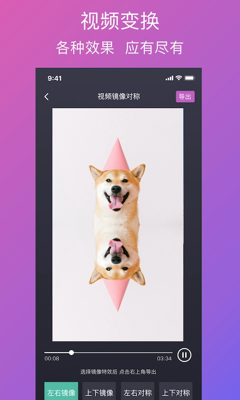 大神水印官方版