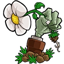 植物大战僵尸e版