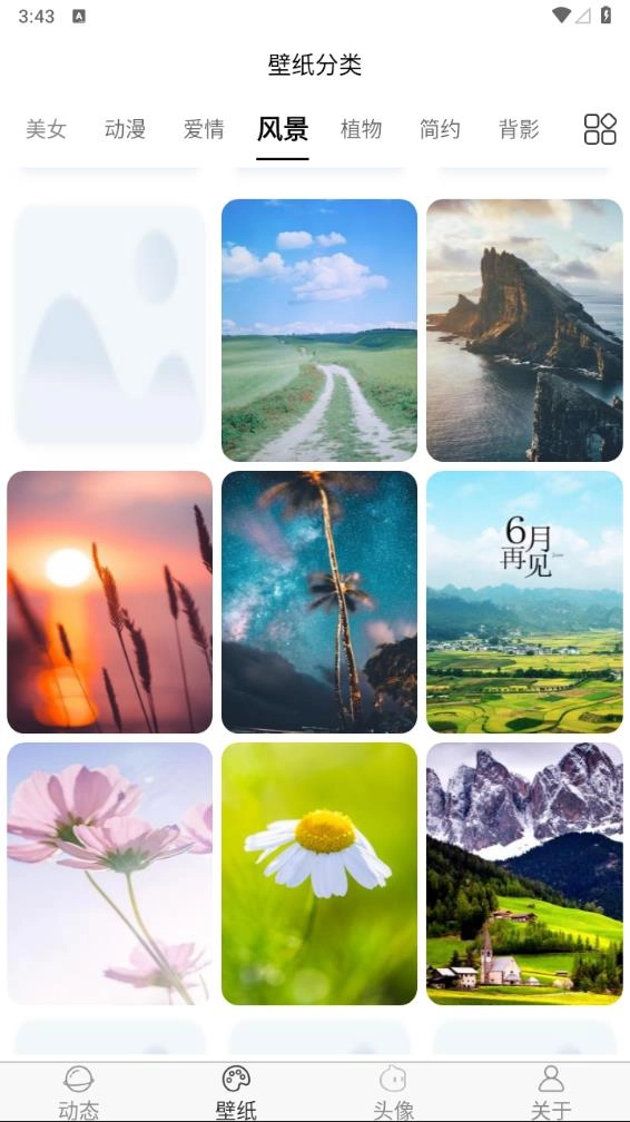 飞花动态壁纸官方正版