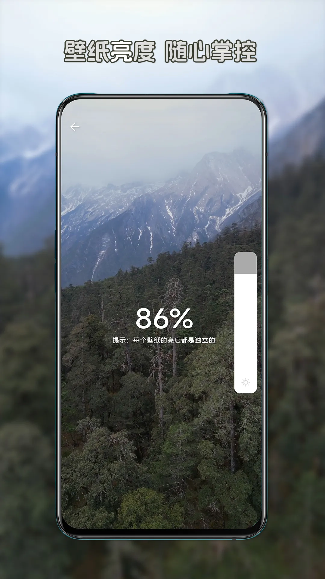 星咩视频壁纸无广告版