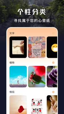主题盒安卓官方版图4