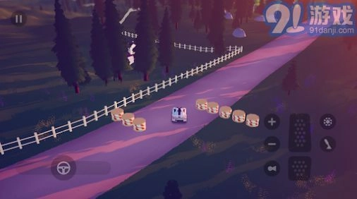 art of rally