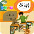 PEP小学英语六年级下官方版