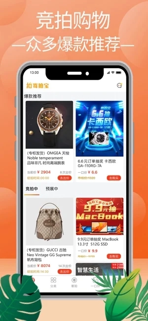 寄拍宝手机正版图3