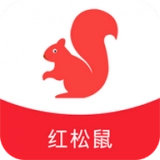红松鼠最新版