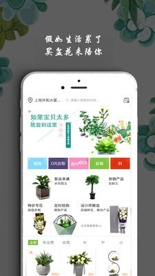 淘花运最新版