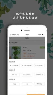 淘花运最新版