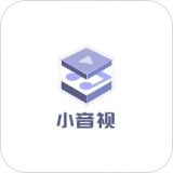 小音视手机版