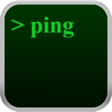 ping网络助手手机免费版