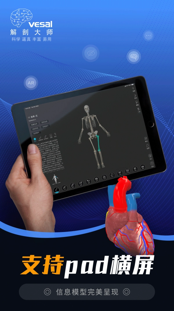 解剖大师官方正版
