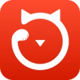 鼎税猫手机正版