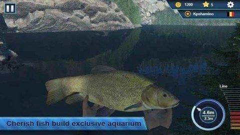恐怖钓鱼模拟器最新下载
