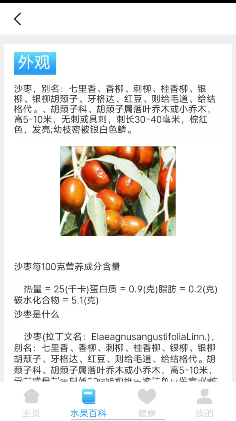 口袋水果手机版下载
