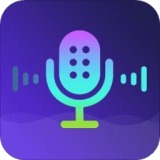 实时变声器王直装版