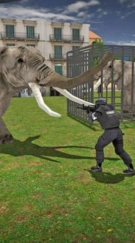 大象城市横冲直撞（Angry Elephant City Rampage）官方最新版